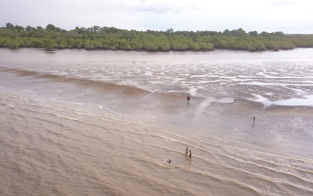 Keindahan Pantai Beting Selayang Kampung Tanjung Kuras