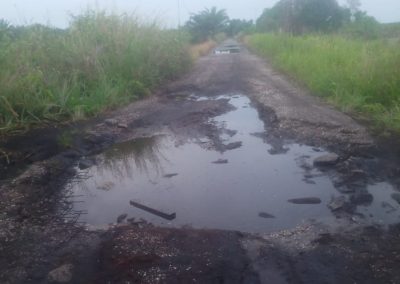 Akses Jalan Suatu Kampung Pemasok Nenas Dan Kelapa Sawit.